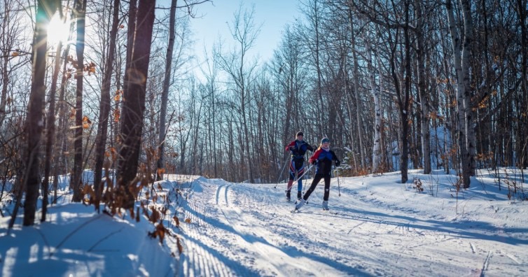 Le milieu idéal pour une vie tranquille au cœur de la nature - Val-des-Monts