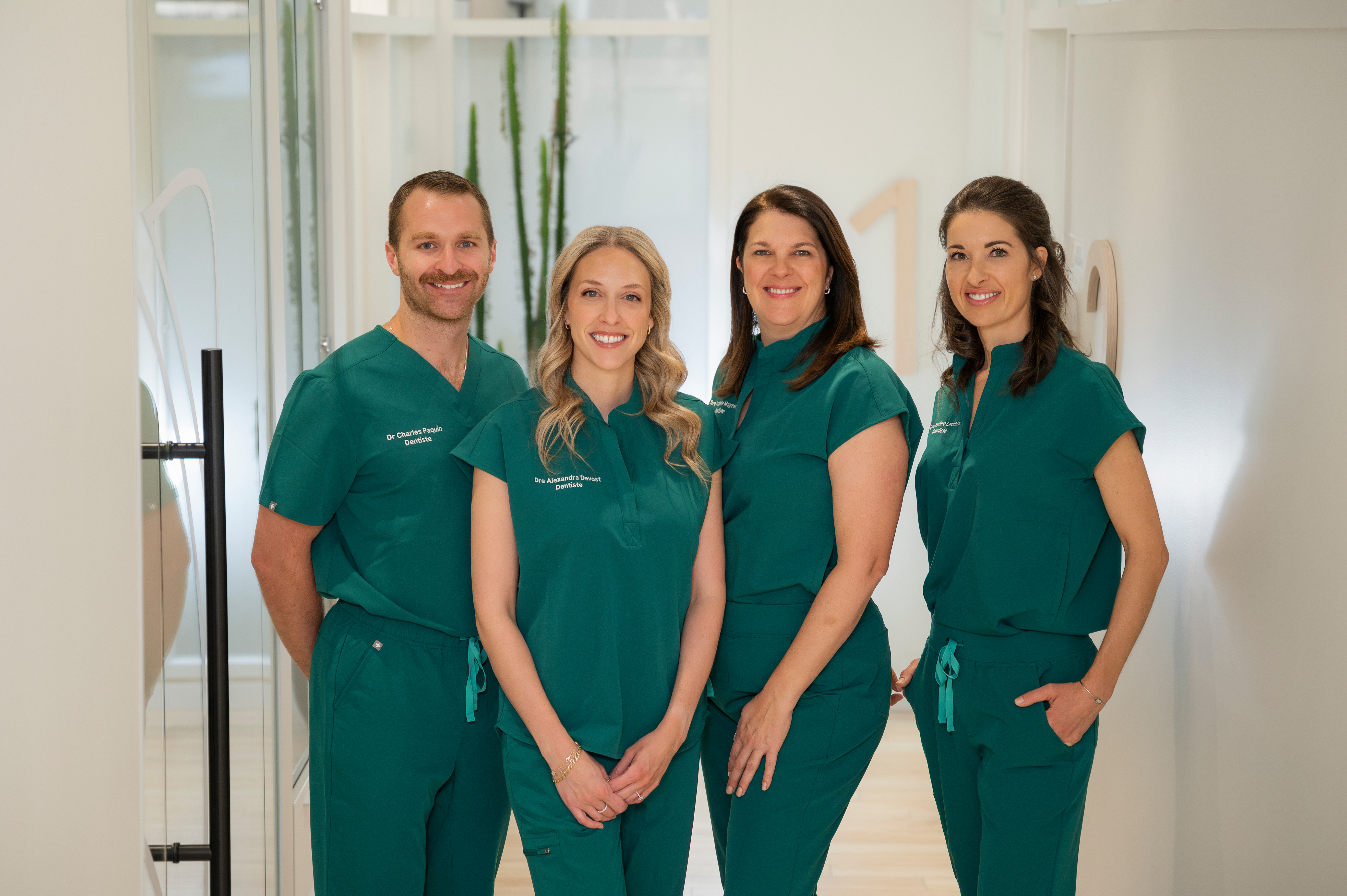 Dentist for a 25% turnkey partnership